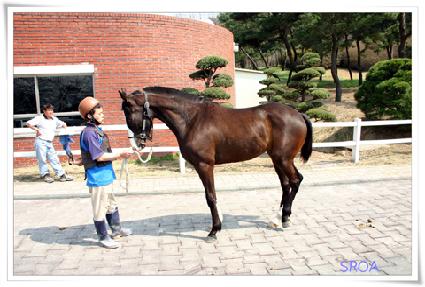 ��ũ����� ����