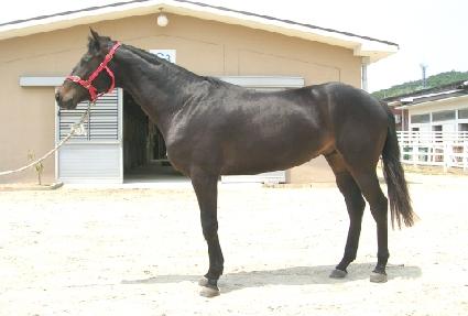 Ȳ�ݵ��� ����