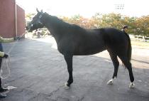 ����뼺 (OSAN DAESEONG) ����