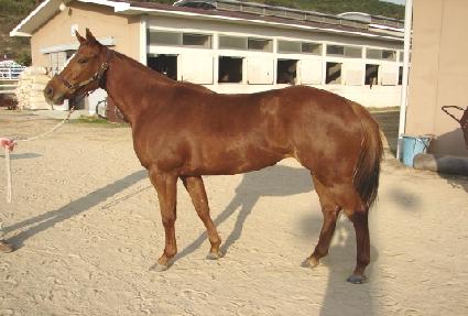 �ο��� ����