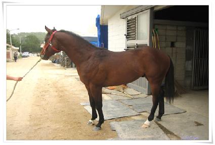 �׹��ν� ����