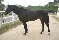 ��Ƽ�� (CITY GIRL) ����