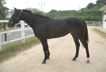 ��Ƽ�� ����