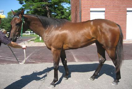 �׸��־� ����