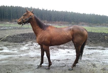 ���ѿ��� ����