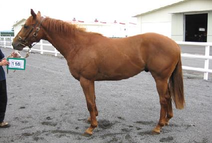 �������� ����