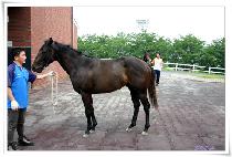 ���庼 (RED BALL) ����