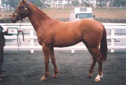 ���ü�� ����