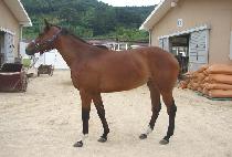 Ȳ�ݸ��� (HWANGGEU MMANNYANG) ����