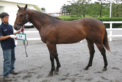 ����� ����