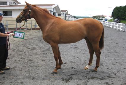 ��ǳ ����