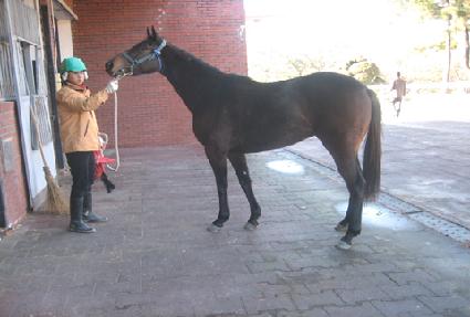 ���õ�� ����