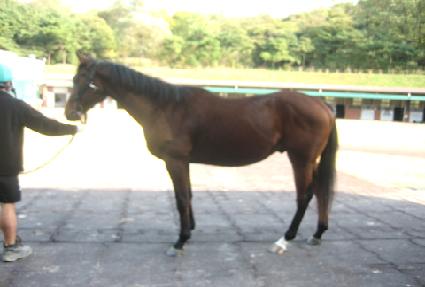 �۽���ȣ�� ����