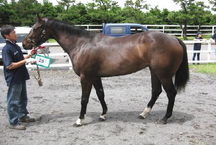 ��������� ����