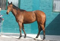 ����ݸ޴� (LOVE GEUMMEDAL) ����