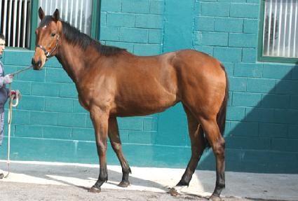 ����ݸ޴� ����