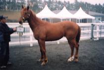 Ŭ�����Ӵ� (CLEVER MONEY) ����