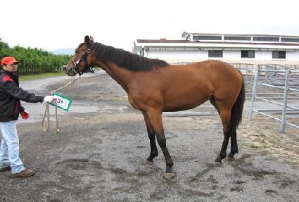 �Ҳɳ��� ����