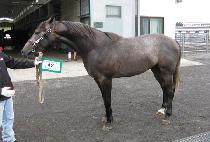 �������� (EUNBITNARA) ����