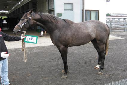 �������� ����