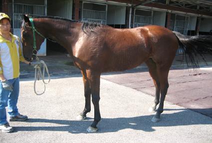 �ݵ��Ǻ� ����