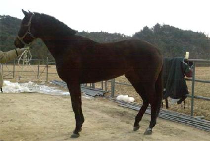 ���ѽ��ǵ� ����