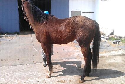 �Ѱ���� ����