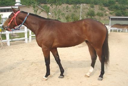 ������Ÿ ����