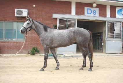 �Ѱ����� ����