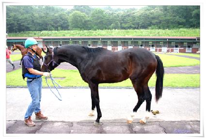 �����鷯�� ����