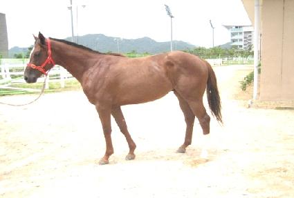 ����Ʈ��Ʈ�� ����