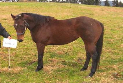 �Ƹ��ٿ�� ����