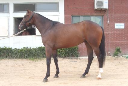 ������� ����