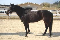 ȿ���û (HYONYEO SIMCHEONG) ����