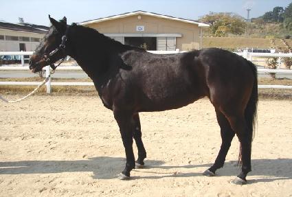 ȿ���û ����