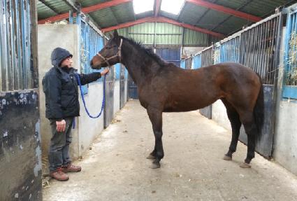 ���ο�� ����