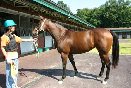 ���ۺ��� ����