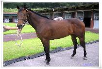 ������� (SEONBONG DAESEUNG) ����