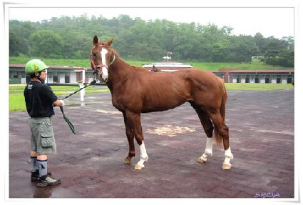 �ֿ����� ����