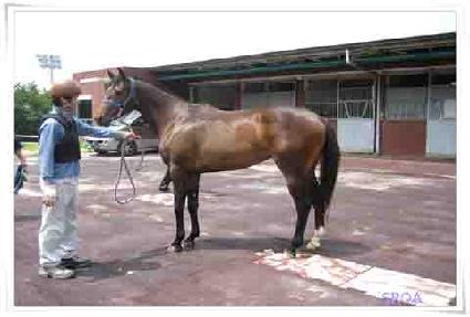 Ȳ�ݹ�½ ����