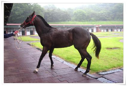 ĳ���� ����