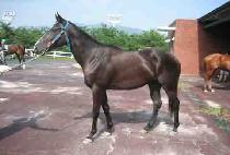 �ϴø�ŭ (HANEULMANKEUM) ����