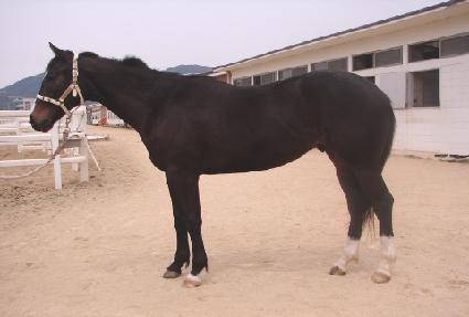 �׷��̽����� ����