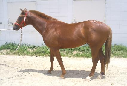 �������� ����