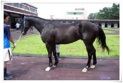 ������ ����