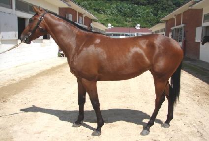 ����Ĺ ����