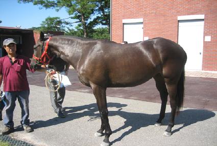 ���׽�ĵ ����