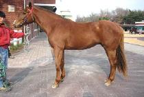 ������� (JANGSU MYEONGJANG) ����