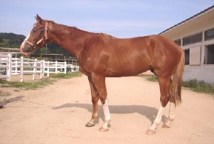 õ���� ����