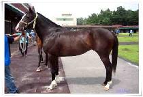 ��ι�½ (BAEKDU BEONJJEOK) ����